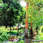 Illusion & Clubhotel - Adults Only Hotel Alanya