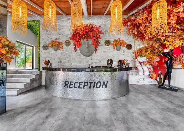 Hotel Illusion & Clubhotel - Adults Only 3*