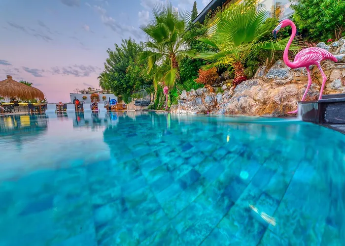 Otel Illusion & Clubhotel - Adults Only Alanya