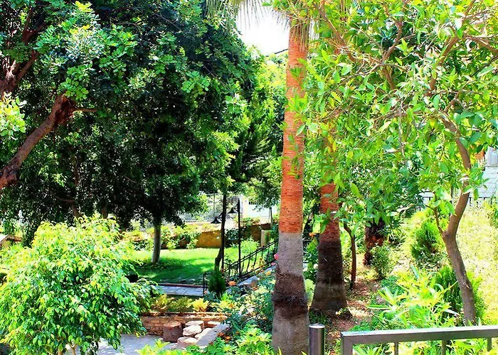 Illusion & Clubhotel - Adults Only Otel Alanya