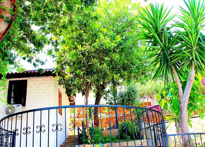 Hotel Illusion & Clubhotel - Adults Only Alanya