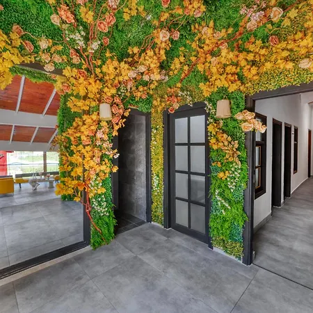 Illusion & Clubhotel - Adults Only Hotel