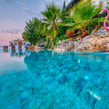 Hotel Illusion & Clubhotel - Adults Only Alanya