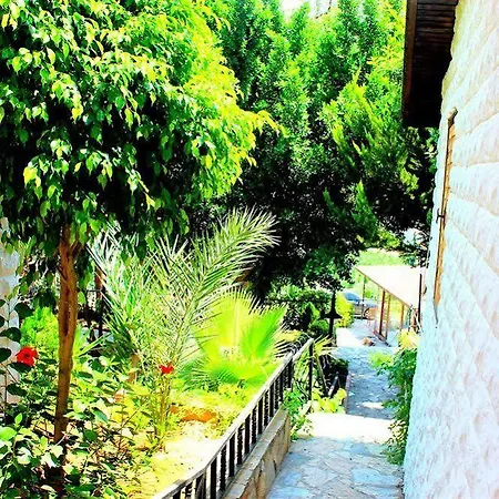 Illusion & Clubhotel - Adults Only 3* Alanya