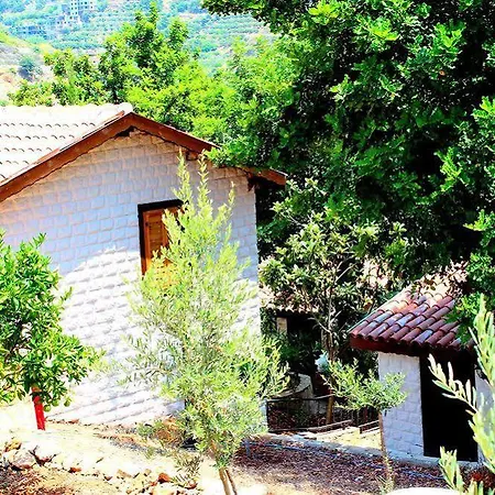 Illusion & Clubhotel - Adults Only Hotel