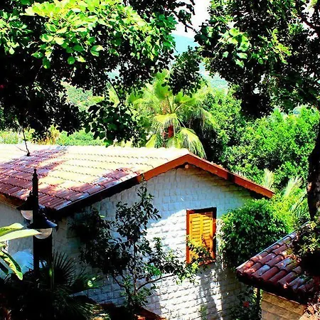 Illusion & Clubhotel - Adults Only Hotel Alanya