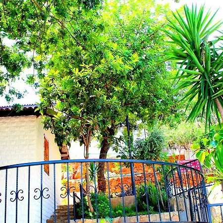 Hotel Illusion & Clubhotel - Adults Only Alanya